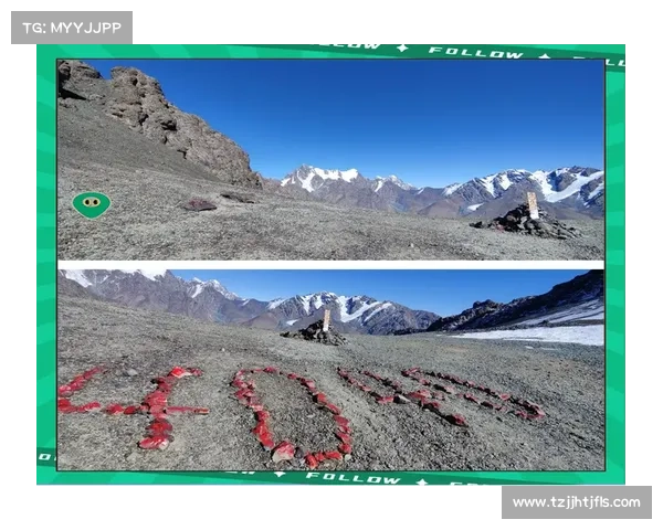 智霸王者挑战之旅:破解思维密语,登顶巅峰 智霸王者挑战之旅:破解思维密语,登顶巅峰